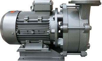 Liquid ring vacuum pump (compact design)