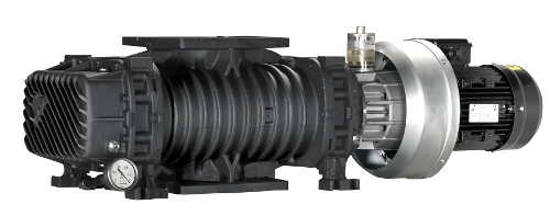 Bơm chân không kiểu Lobe