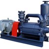 Liquid Ring Vacuum Pump